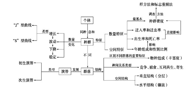 高考生物种群和群落知识点梳理，含关键填空与知识框架图