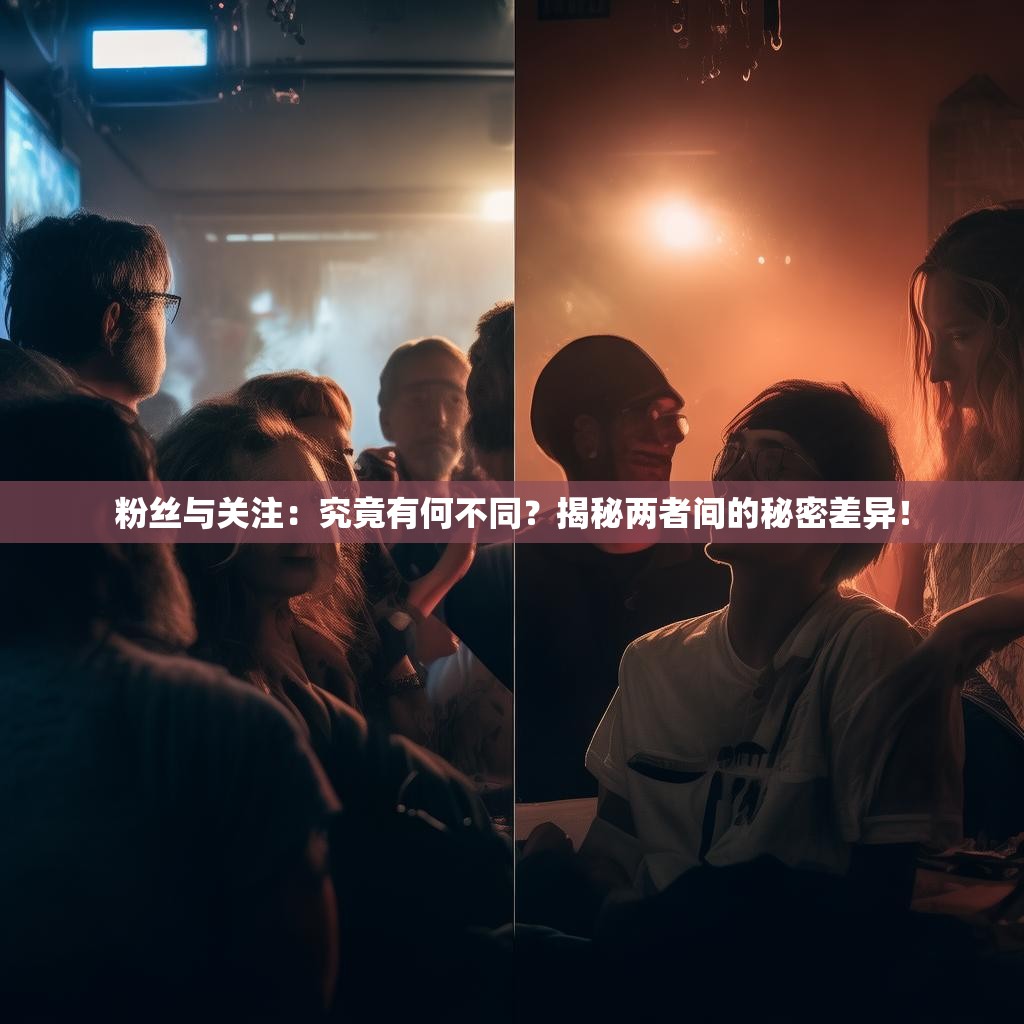 粉丝与关注：究竟有何不同？揭秘两者间的秘密差异！