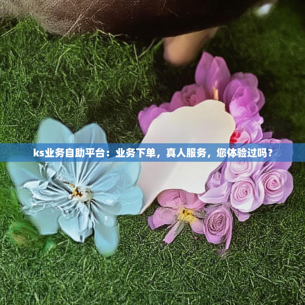 ks业务自助平台：业务下单，真人服务，您体验过吗？