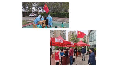 青岛抗疫获多方支持,5天检测全覆盖彰显速度与担当