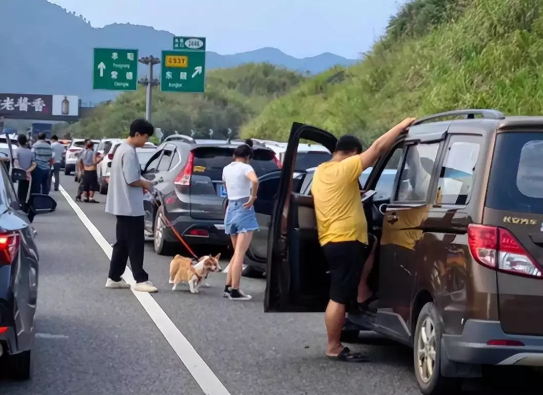 高速节假日免费致拥堵,老司机揭秘出行扎堆堵车真相